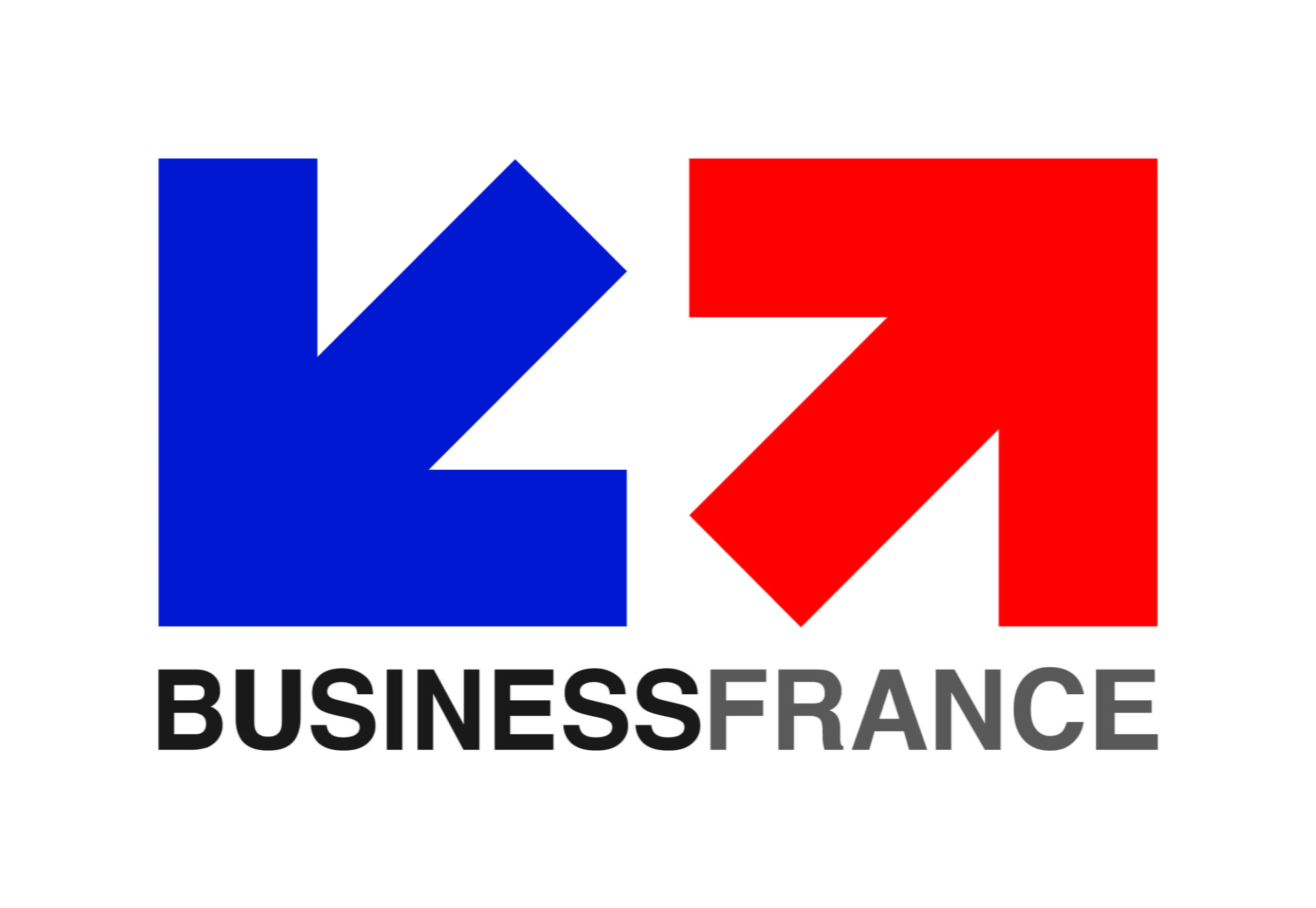 Business France Sub-Saharan Africa logo